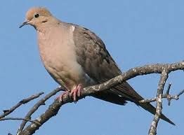 c9b9345e1856d0ff2baad630a33bab10